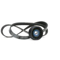 RIDEX 542R0852 Keilrippenriemensatz für FORD Focus II Schrägheck (DA, HCP, DP)