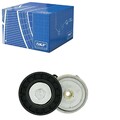 SKF SPANNROLLE KEILRIPPENRIEMEN passend für RENAULT TRUCKS MASCOTT SANTANA
