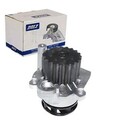 DOLZ WASSERPUMPE MIT RIEMENSCHEIBE passend für AUDI A2 A3 FORD GALAXY SEAT ALHA
