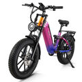 Cmacewheel V20 750W E-Mountainbike 20 Zoll FatBike Elektrofahrrad 48V 20Ah Ebike