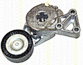 TRISCAN Keilrippenriemen Spannarm Für VW SEAT AUDI SKODA Bora Eos Xl 06A903315D