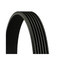 1x Keilrippenriemen CONTINENTAL CTAM 6PK2215 passend für FORD JAGUAR MAZDA VW