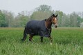 Outdoordecke Regendecke Weidedecke Pferdedecke Nylonfutter 600D TYREX EquiTheme