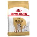 Royal Canin Bulldog Adult