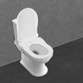 WC Sitz Toilettensitz Toilettendeckel Dusch Klodeckel Schlauch WC-Sitz Bidet D