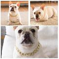 Pet Dog Gold Curb Cuban Link Chain Collars Necklace Choker U k Plastic H3U2