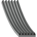 febi bilstein 28924 Keilrippenriemen für VW AUDI SKODA SEAT PASSAT SHARAN GOLF