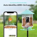Feeder-Kamera, Smart AI-Vogelfutterstation, automatische Erfassung und Erkennung