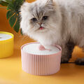 Trinkbrunnen Haustier Automatisch Keramik-Wasserspender für Katzen Hunde