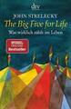 The Big Five for Life von John Strelecky (2009, Taschenbuch)