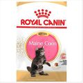(€ 12,99/kg) ROYAL CANIN Kitten Maine Coon Trockenfutter Coonie Kätzchen - 4 kg