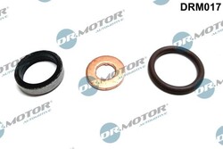 DR.MOTOR AUTOMOTIVE DICHTUNGSSATZ INJEKTOR EINSPRITZDÜSE passend für OPEL ASTRA