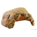 Exo Terra Landschildkröten Höhle für Terrarien, UVP 44,99 EUR, NEU