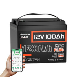 HumSienk Lithium Batterie 12V 100Ah LiFePO4 Akku BMS 110A Solaranlage Wohnmobil