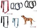 Wolters Professional No Escape Panikgeschirr Hundeschirr Tierschutz-Hunde