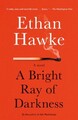 A Bright Ray of Darkness Ethan Hawke