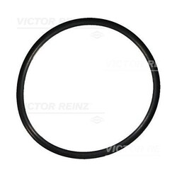 40-76149-00 VICTOR REINZ Dichtring