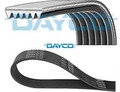 DAYCO 6PK1855 Keilrippenriemen Keilriemen 