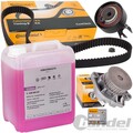 CONTI ZAHNRIEMEN-SATZ WASSERPUMPE+5L G12 EVO für VW GOLF 3 CADDY2 POLO VENTO 1.6