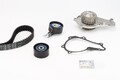 Continental Ctam Ct1163Wp1 Wasserpumpe + Zahnriemen Satz für Ford 2012->