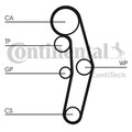 Zahnriemensatz CONTINENTAL CTAM CT1028K5 für AUDI VW SEAT FORD GALAXY ALHAMBRA 4