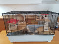 Hamster Käfig groß Top Zustand mit viel Zubehör Transportbox 