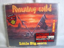 Running Wild- Little Big Horn- EMI 1991- 3-Track-Picture-MCD m.Aufkleber- lesen