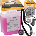 CONTI ZAHNRIEMEN-SATZ+5L G12 EVO passend für VW T4 LT 28-35/46 A6 2.4 D 2.5 TDI