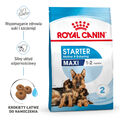 ROYAL CANIN Maxi Starter Mother&Babydog Hundefutter Trockenfutter 15kg