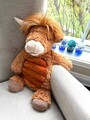 Neu in OVP! Wärmender Scentsy Gewichts-Buddy Hamish das Hochlandrind, NP 85,00 €