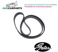 KEILRIEMEN KEILRIPPENRIEMEN 6PK2403 GATES P NEU OE QUALITÄT