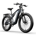 1000W Elektrofahrrad 17.5AH BAFANG-Motor Pedelec 48V 840WH Erwachsene 26'' ebike