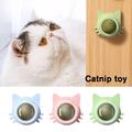 Natural Catnip Toys For Cat Mint Leaf Cat Catnip Treat Balls Edible Treating O
