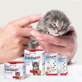 250 / 500 g Beaphar Aufzuchtmilch Lactol, für Kitten/Kätzchen, Aufzucht Set