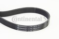 CONTINENTAL CTAM 6PK1075 Keilrippenriemen für Lancia Honda Mercedes