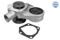MEYLE 013 012 0039 Wasserpumpe für SKODA