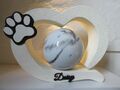 Tierurne Urne bis 35 kg Herz LED Hund Katze Kugel Holz Beton Optik weiß  Neu