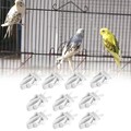 10x Feeder Clip Papagei Obst Gemüse Clips für Ara Hamster Kleine Tiere