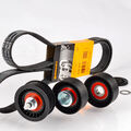 CONTINENTAL CTAM 6PK1670 Keilrippenriemen + Rolle für Ducato Transit Boxer 2.2D