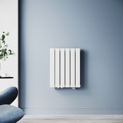 Design Heizkörper Klein Paneel Flachheizkörper Doppellagig Heizung 600x465mm Bad
