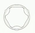 SPIDAN 24862 Faltenbalgsatz, Antriebswelle für AUDI SEAT VW