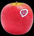 Äpfel Pink Lady 3,5kg  - Premium Apfel Club Sorte