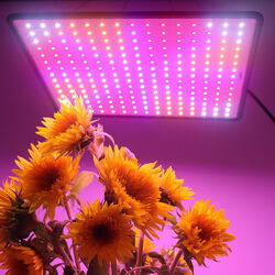 LED Pflanzenlampe Indoor Blumen Dimmbar Zimmerpflanzen Pflanzenlicht 45W