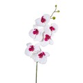 Kunstblume PHALAENOPSIS, künstlicher ORCHIDEENZWEIG Orchidee 76cm WEISS-LILA