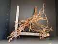  Aqua Della Aquarium  Deko Wurzel Holz Ca. 22 x 22cn Neu 001