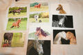 10 Pferdepostkarte, AK Pferde, ohne Verlagsangaben  C2