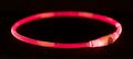 Leuchthalsband NEU Hund LED-USB Trixie Flash Leuchtschlauch Hundehalsband NEU
