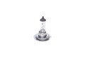 Glühlampe Hauptscheinwerfer Pure Light WS BOSCH 1 987 302 071 für VW BMW PASSAT
