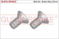 Quick Brake (11669K) Schraube, Bremsscheibe für MINI LAND ROVER