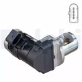 DELPHI AGR Ventil Für MERCEDES S203 W203 Viano Vito Vito Mixto 03-15 6421400160